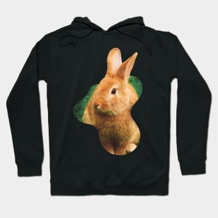 Easter Bunny with no eggs Hoodie